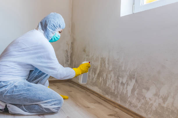 Licensed Bathroom Mold Removal service in Leonardo, NJ - WQB Mold Removal