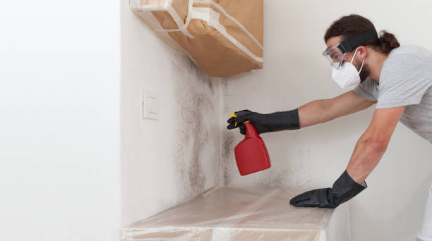 Professional Bathroom Mold Removal technician working in Leonardo, NJ