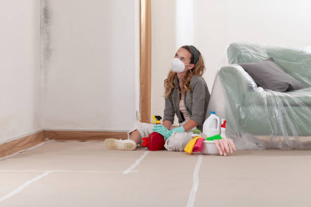 Reliable Bathroom Mold Removal contractor in Leonardo, NJ by WQB Mold Removal